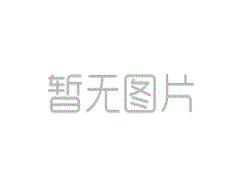 YBZQ防爆振動(dòng)電機(jī)